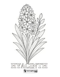 Hyacinth flower coloring page – Printable letter-size sheet