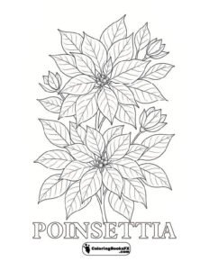 Poinsettia flower printable – No-background Christmas design
