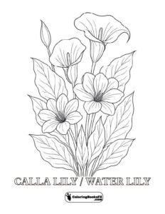 Calla lily flower coloring sheet – Ready-to-print floral design